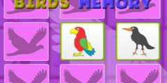 Kids Memory Game – Birds